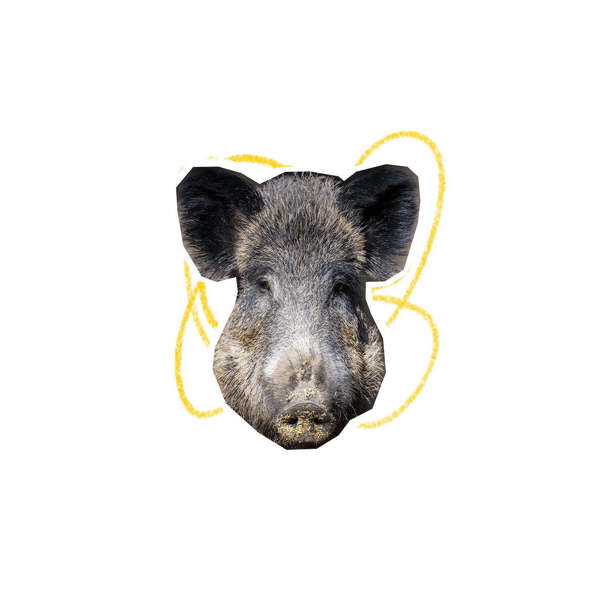 Mascotte INSA Centre Val de Loire