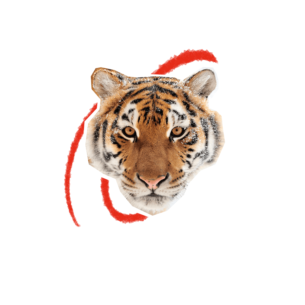 Mascotte INSA Rennes